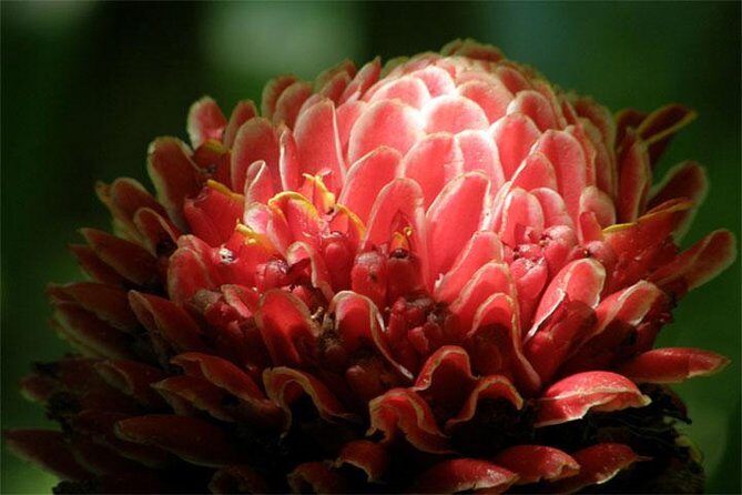 Natural Wonders of Barbados Small-Group with Harrison's Cave - Exploring the Heart of Barbados: The Itinerary in Detail