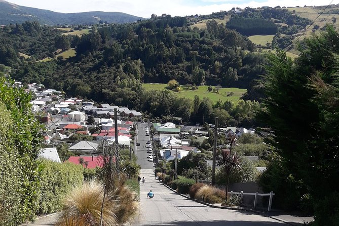 Nature and City Tour - What to Expect During the Tour