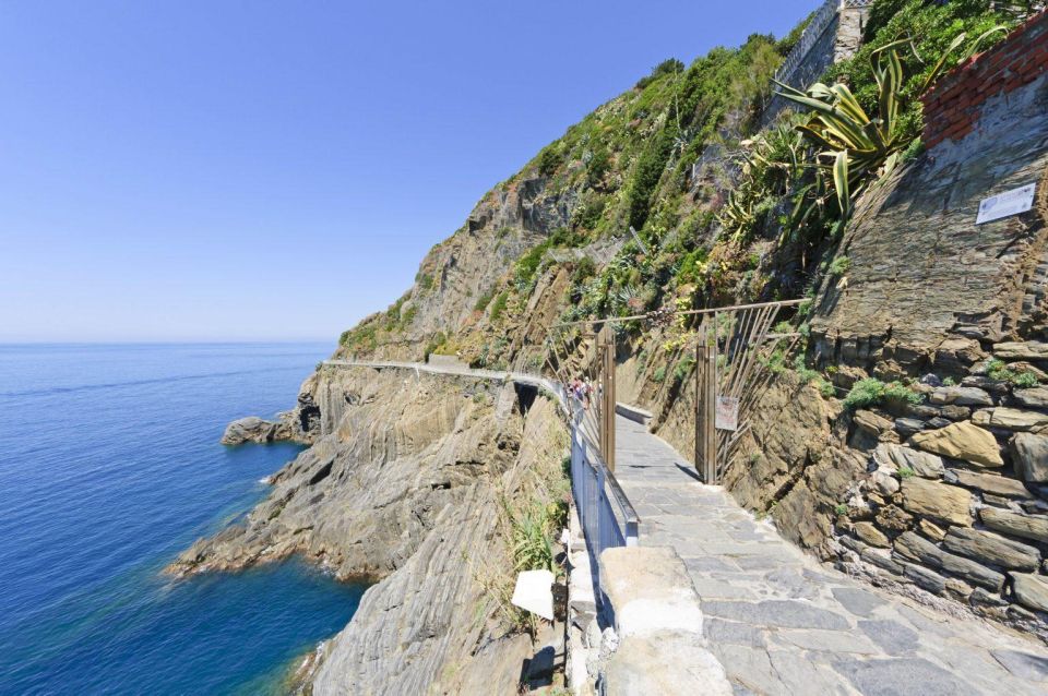 Nature and Heritage of Cinque Terre Family Walking Tour - Highlights of the Experience