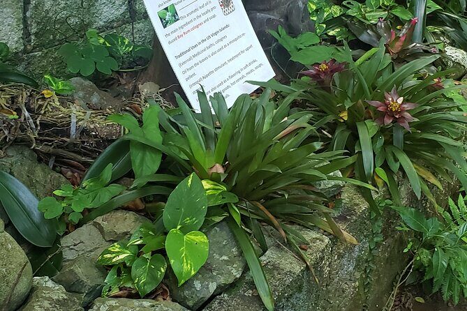 Nature and Sightseeing at Phantasea Tropical Botanical Garden - The Bottom Line