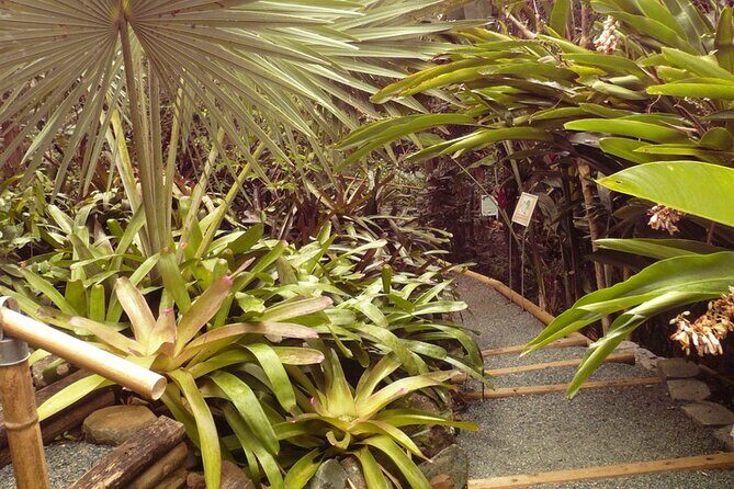 Nature and Sightseeing at Phantasea Tropical Botanical Garden - FAQs