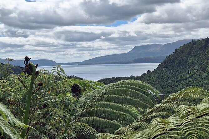 Nature at its best Lake Tarawera Treetop Walk and Forest Spas - Authentic Insights from Travelers