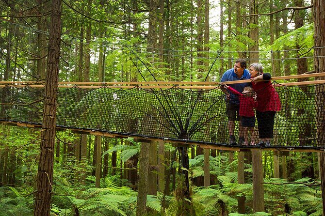 Nature at its best Lake Tarawera Treetop Walk and Forest Spas - Who Should Consider This Tour?