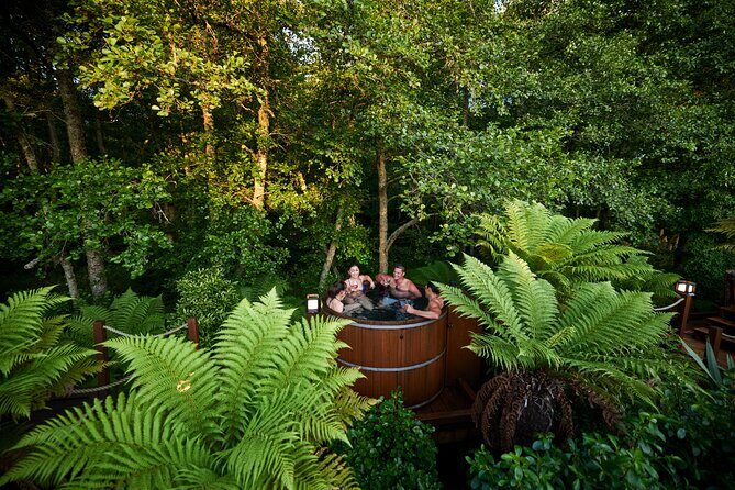 Nature at its best Lake Tarawera Treetop Walk and Forest Spas - The Sum Up