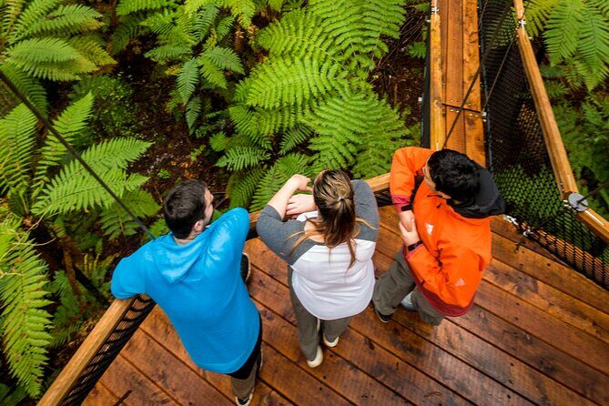 Nature at its best Lake Tarawera Treetop Walk and Forest Spas - Frequently Asked Questions