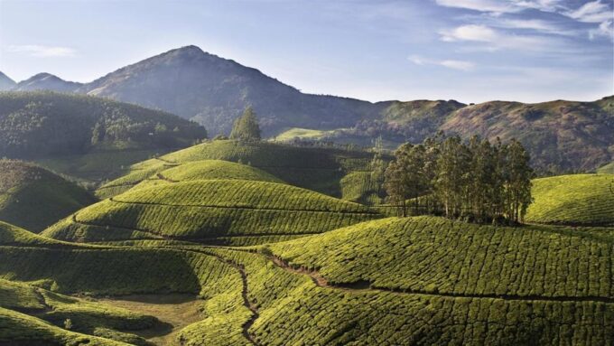 Nature Beauty Backwater of Kerala Tour (03 Nights / 04 Days) - The Sum Up