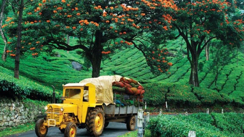 Nature Beauty, Backwater of Kerala Tour (05 Nights/06 Days) - Inclusions