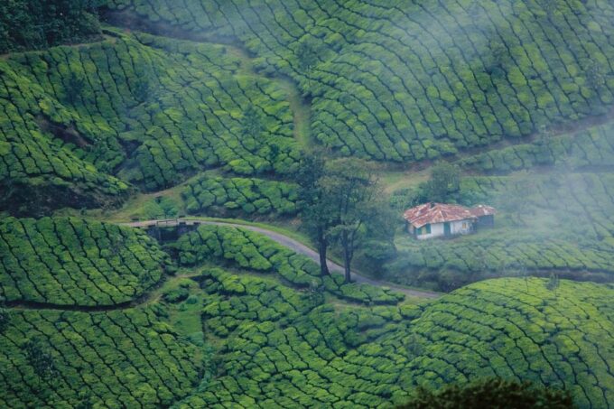 Nature Beauty, Backwater of Kerala Tour (05 Nights/06 Days) - What to Bring