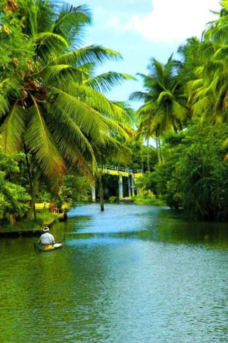Nature Beauty, Backwater of Kerala Tour (05 Nights/06 Days) - Vehicle Types