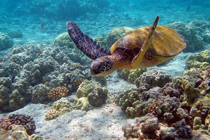 Nature Day, Sian Kaan Biosphere Tour! Round Transportation from Tulum City - Who Would Enjoy This Tour?