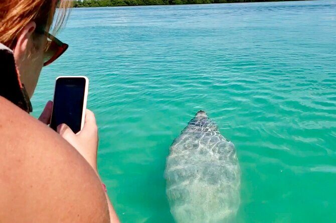 Nature Day, Sian Kaan Biosphere Tour! Round Transportation from Tulum City - FAQ