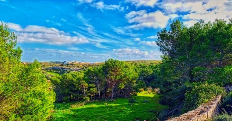 Nature Highlights Private Walking Tour with Transport - A Well-Structured Introduction to Malta’s Natural Wonders