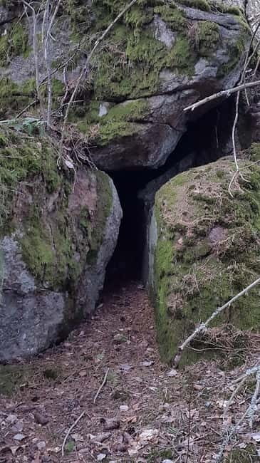 Nature Hike from Stockholm - An In-Depth Look at the Stockholm Nature Hike