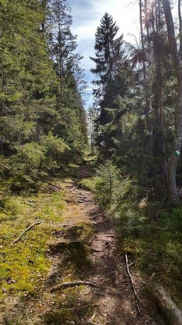 Nature Hike from Stockholm - Who Should Consider This Tour?