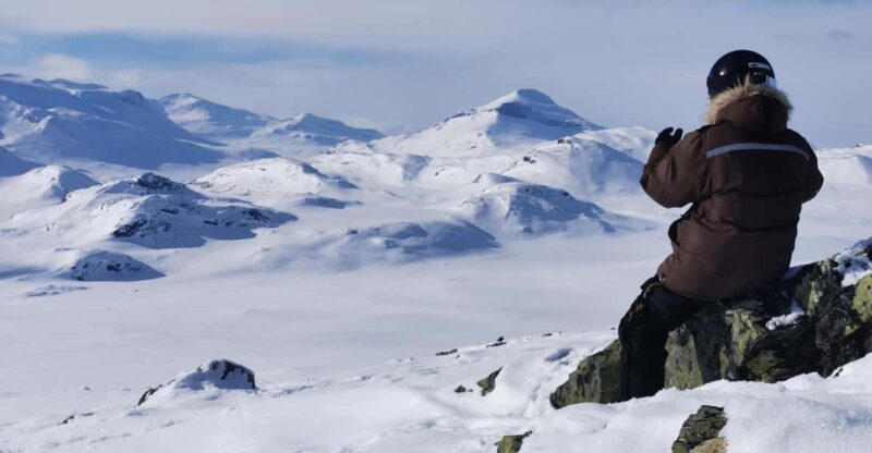 Nature Lovers - 24 Hours Taste of a Pristine Arctic Nature - Pricing Details