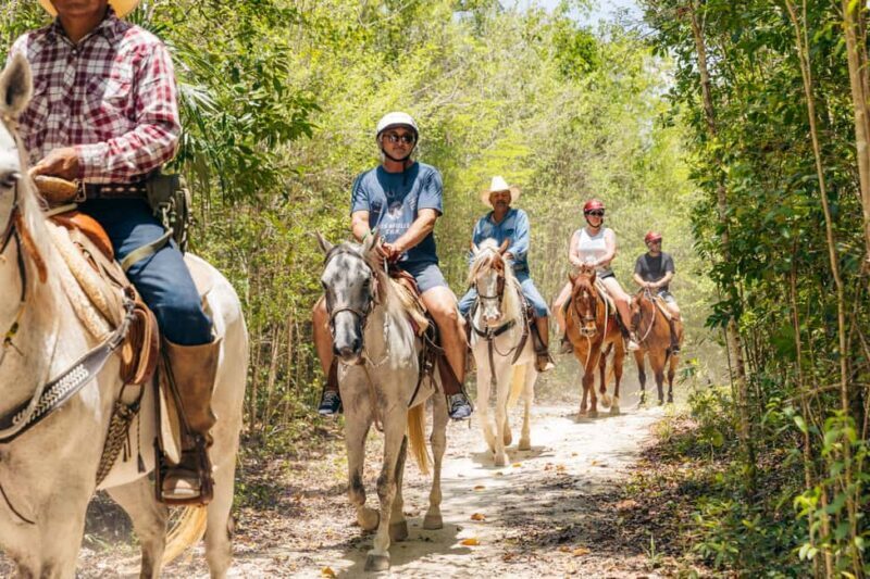 Nature Tour - What Is the Nature Tour in Quintana Roo?