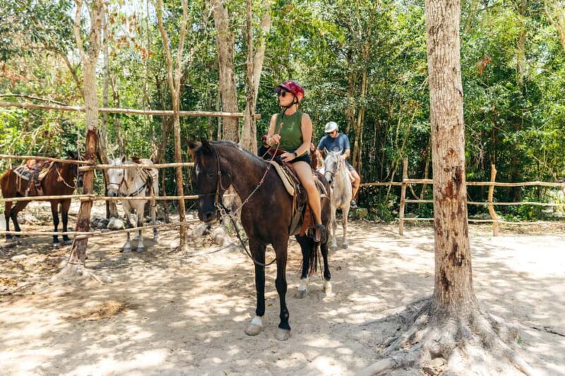 Nature Tour - Potential Drawbacks to Keep in Mind