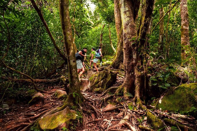 Nature Trail - Morne Blanc (Mahe) - Additional Costs and Fees