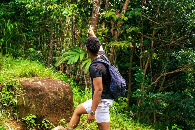 Nature Trail - Morne Blanc (Mahe) - Guest Reviews and Feedback