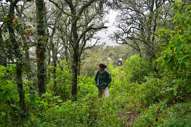 Nature Walk - Bufa Hill or Santa Rosa Area - Operator and Booking