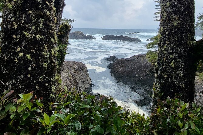 Nature Walks in Pacific - Accessibility and Participation
