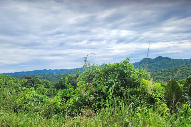 NatureCures Tropical Food Forest 12 Day Group Experience - Final Thoughts