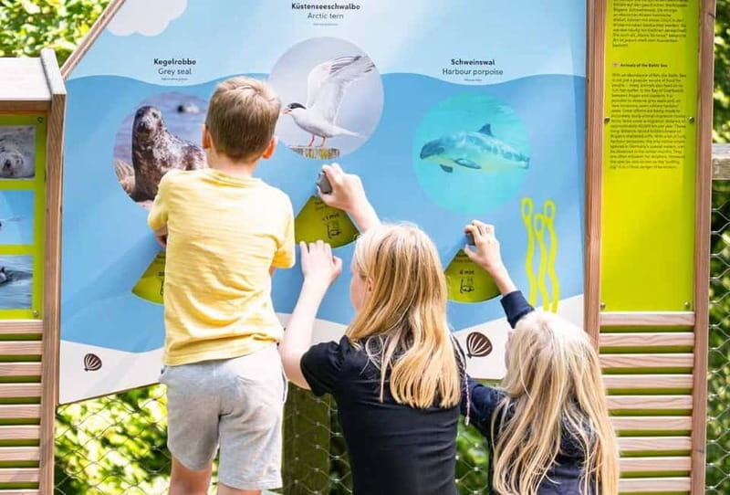 Naturerbe Zentrum Rügen & Treetop Walk Experience - Who Should Consider This Tour?