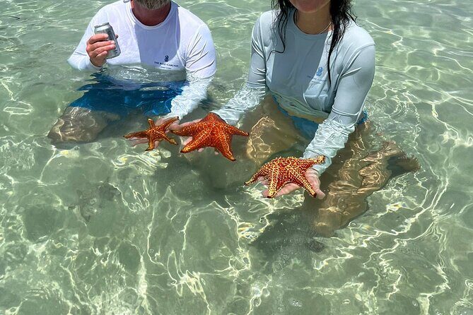 Nauti Dreams Private Boat Charter - A Detailed Look at the Tour Experience