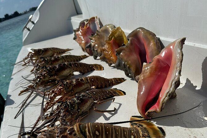 Nauti Dreams Private Boat Charter - Who Will Enjoy This?