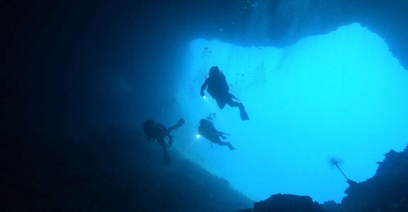Naxos: Discover Scuba Dive with Nima Dive Center - Why Choose Nima Dive Center in Naxos?