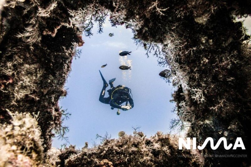 Naxos: Discover Scuba Dive with Nima Dive Center - The Experience of the Dive