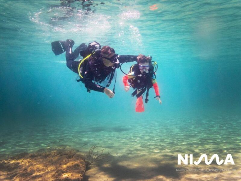 Naxos: Discover Scuba Dive with Nima Dive Center - Who Will Love This Experience?