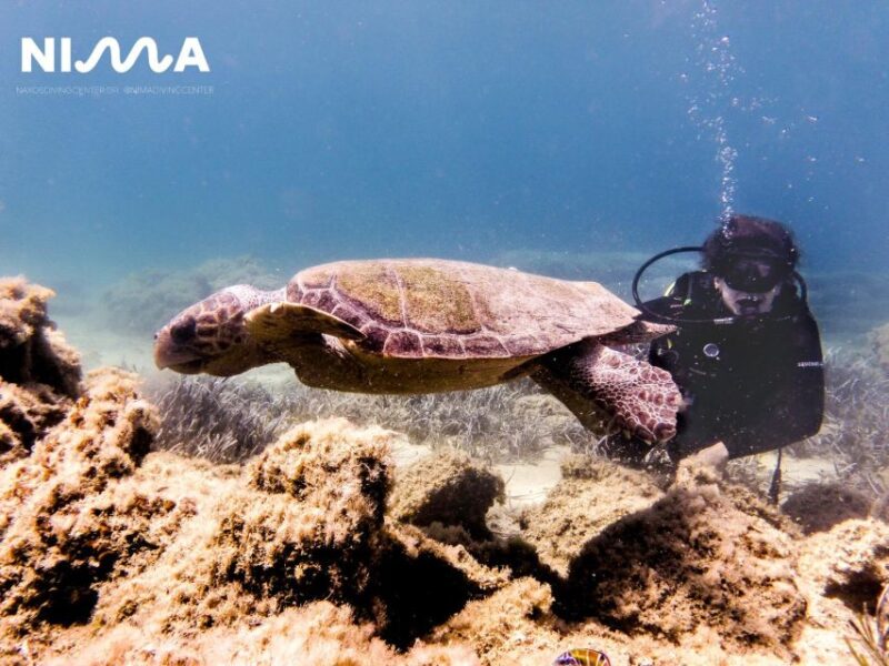 Naxos: Discover Scuba Dive With Nima Dive Center - Health and Safety Restrictions