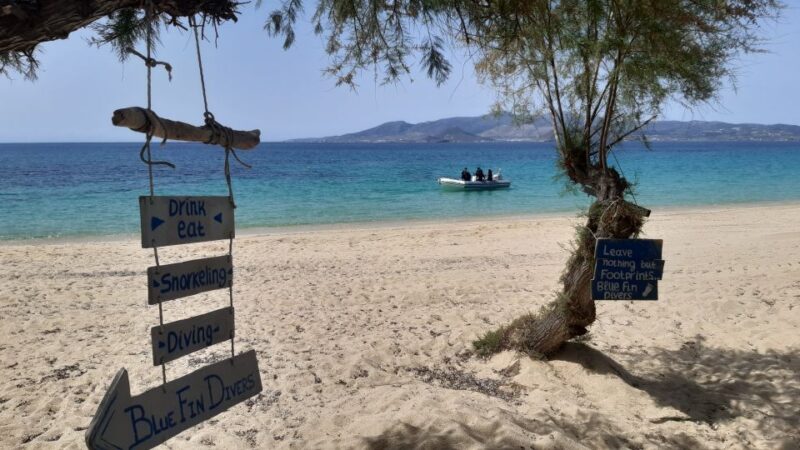 Naxos: Discover Scuba Diving - Your First Experience Diving - Important Information