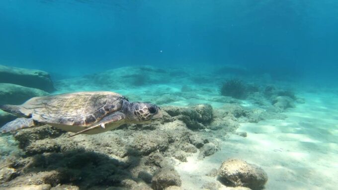 Naxos: Discover Scuba Diving - Your First Experience Diving - Customer Reviews