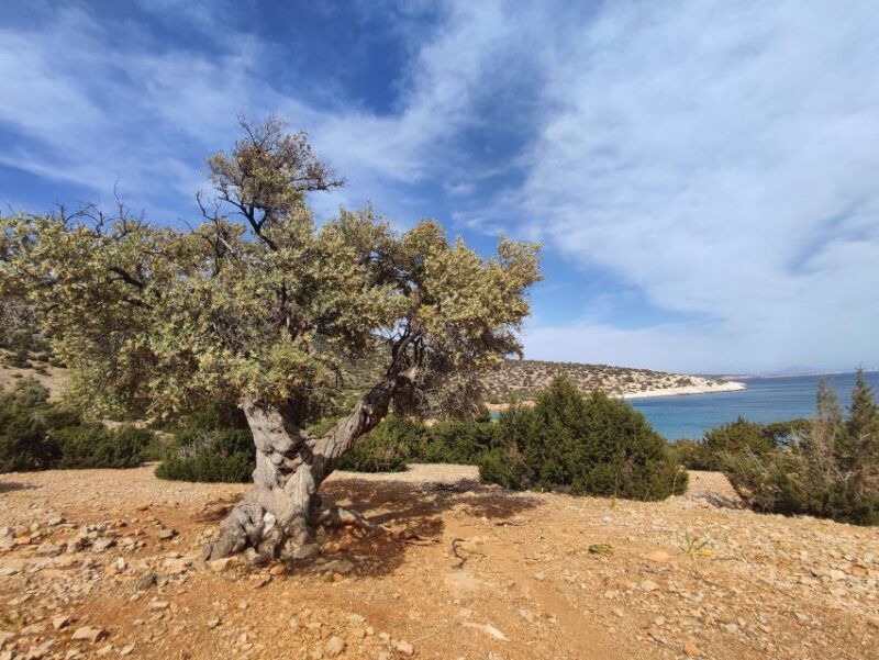 Naxos: Explore the cave of the unspoiled south-east coast! - The Sum Up: Is It Worth It?