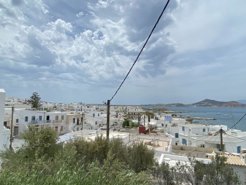 Naxos: Food Walking Tour & Cooking Class with Meal & Drinks - Who Would Love This Tour?