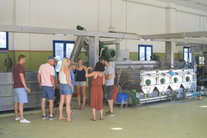 Naxos: Half-Day Olive Oil Tour With Tastings - Exclusions and Restrictions