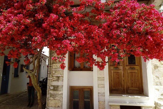 Naxos: Highlights of Naxos Day Tour - Traditional Olive Press Experience