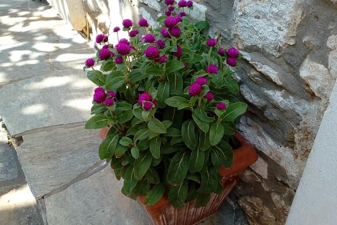 Naxos: Highlights of Naxos Day Tour - Visiting the Fishing Village