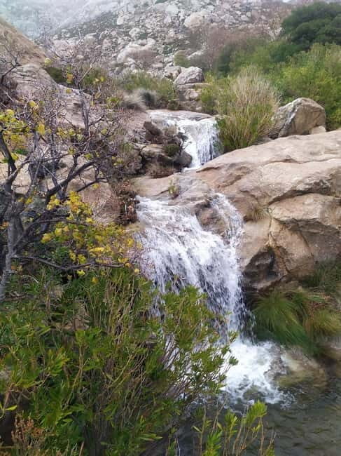 Naxos: Mystical Gorge & Hidden Waterfall Escape - Key Points