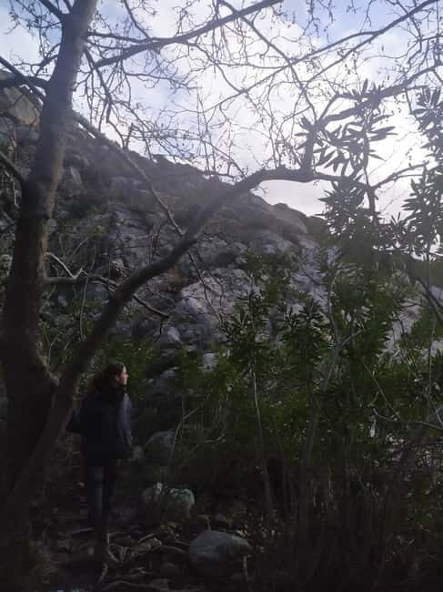 Naxos: Mystical Gorge & Hidden Waterfall Escape - A Closer Look at the Tour Experience