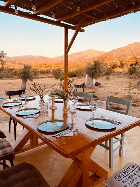 Naxos : Private BBQ night in the olive grove - Practical Tips for Travelers