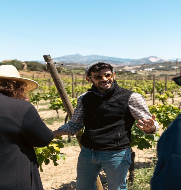 Naxos: Private E-Bike Tour with Wine Tasting Inland Methexis - FAQs