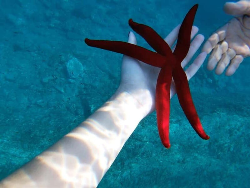 Naxos: Taormina Boat Tour with Snorkeling and Prosecco - A Close Look at the Experience