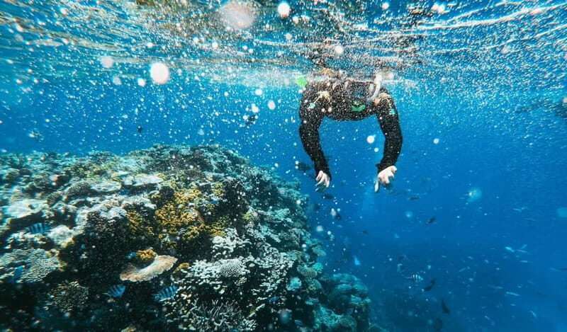 Naxos: Taormina Boat Tour with Snorkeling and Prosecco - FAQ