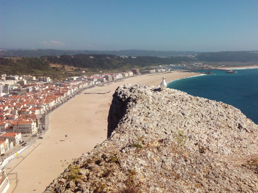 Nazaré Waves and Medieval Village of Óbidos Private Tour - Booking and Availability