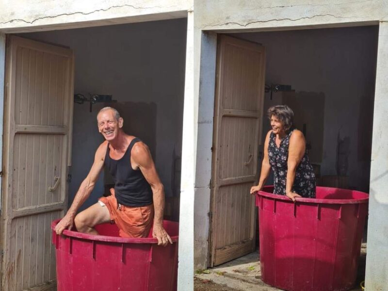 Near Cagliari: The World of Natural Wine at "In Our Garden" - Who Will Love This Tour?