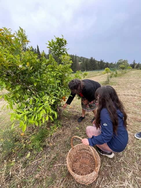 Near Cagliari: Wild Herbs and Healing at "In Our Garden" - Key Points