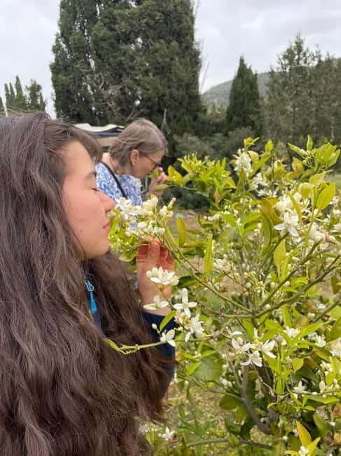 Near Cagliari: Wild Herbs and Healing at "In Our Garden" - An In-Depth Look at the Tour Experience